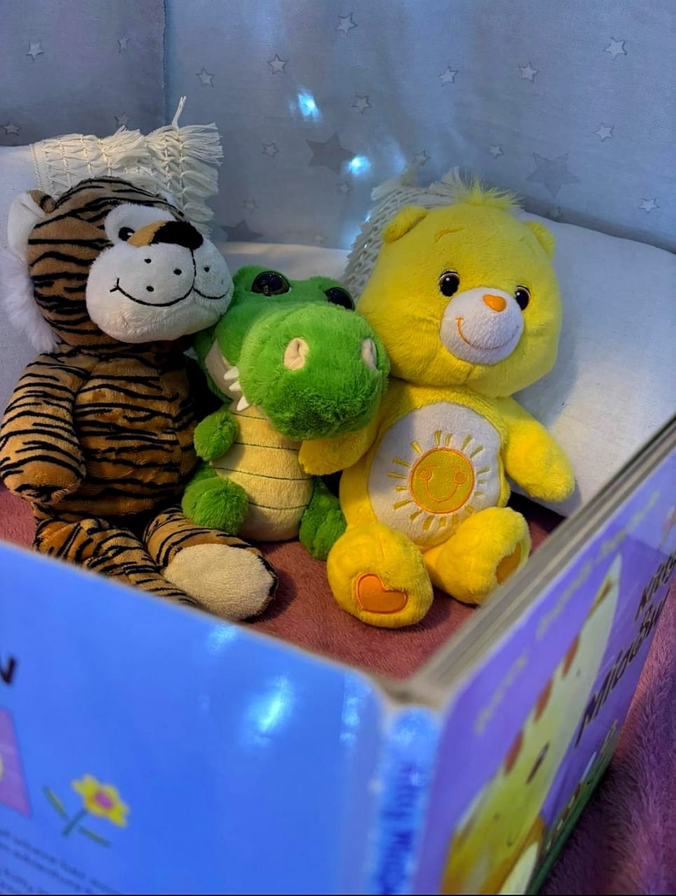 Photo of Katie reading a book to a child in bed